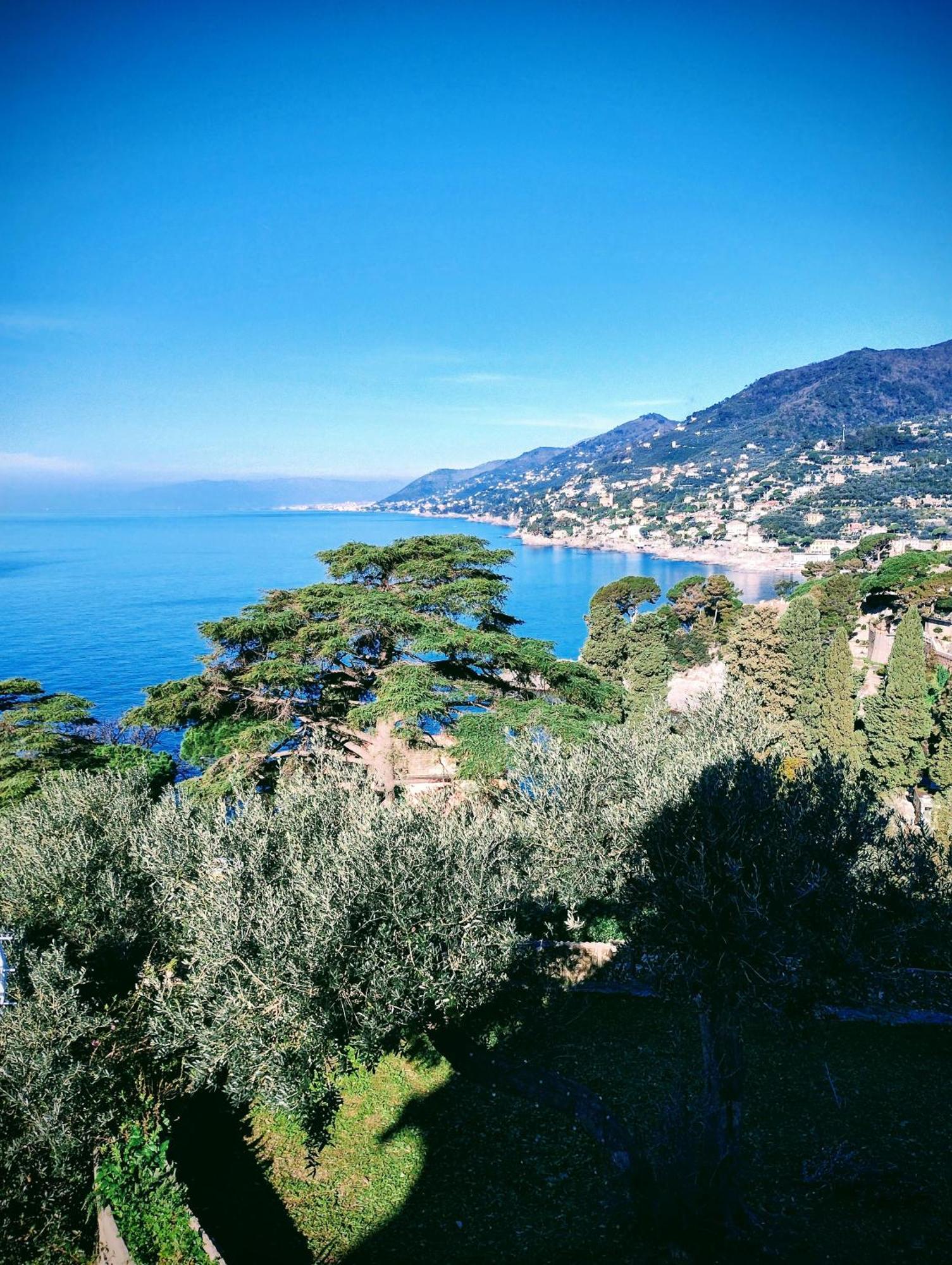 La Conchiglia Bed & Breakfast Камольи Экстерьер фото