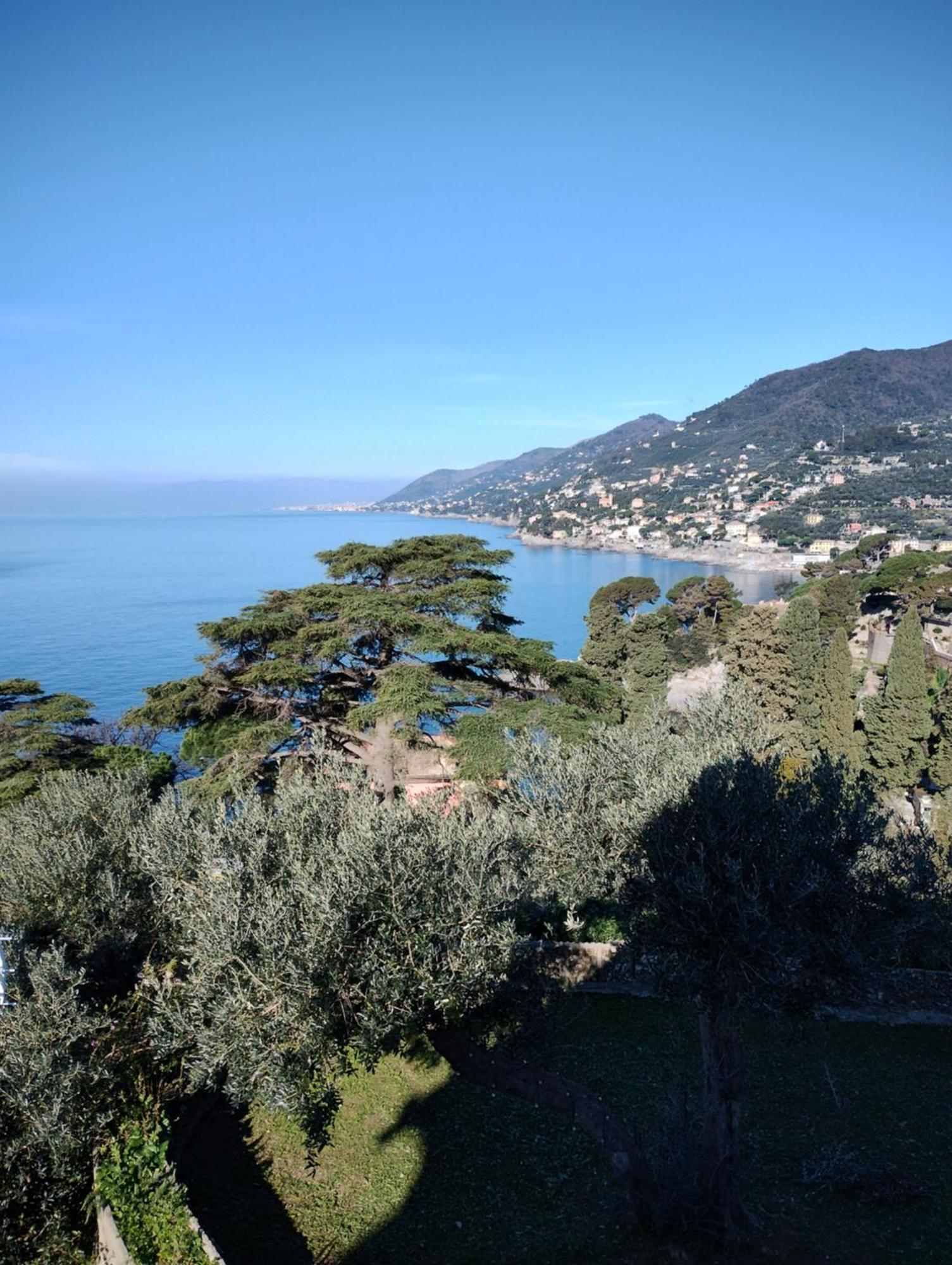 La Conchiglia Bed & Breakfast Камольи Экстерьер фото